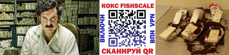 Cocaine FishScale  купить закладку  Верхняя Пышма 