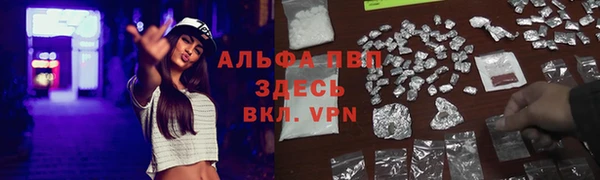 2c-b Пестово