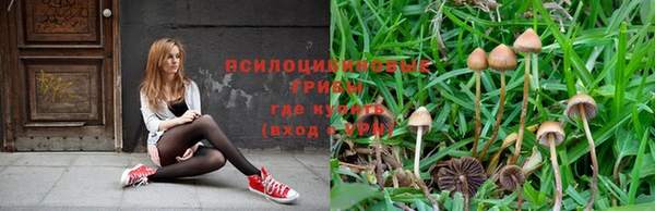 mix Бородино